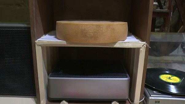 Expérience : les fromages aiment-ils la musique ? Expérience : les fromages aiment-ils la musique ?