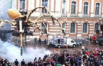 Riesenspinne in Toulouse