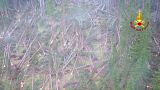 Fortes tempestades devastam florestas inteiras em Itália Fortes tempestades devastam florestas inteiras em Itália
