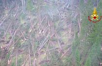 İtalya: Fırtına ormanı yerle bir etti