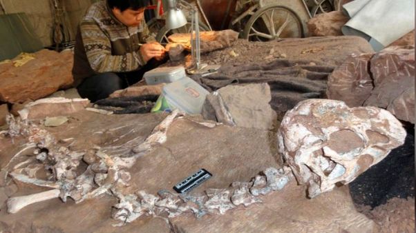 Arjantin'de 110 milyon yıl öncesine ait dinozor fosilleri bulundu Arjantin'de 110 milyon yıl öncesine ait dinozor fosilleri bulundu
