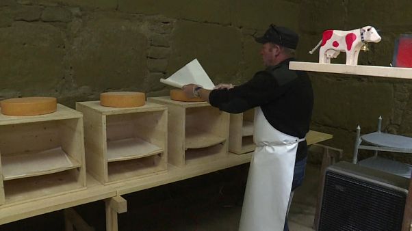 Emmental beats: Swiss researchers are playing hip-hop to cheese Emmental beats: Swiss researchers are playing hip-hop to cheese