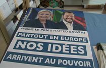 Umfrage zur Europawahl: Le Pen überholt Macron
