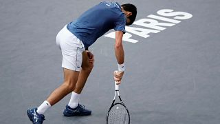 Shock defeat for Djokovic at Paris Masters