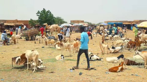 La población de Agadez pierde su mayor fuente de ingresos debido al descenso del flujo migratorio La población de Agadez pierde su mayor fuente de ingresos debido al descenso del flujo migratorio