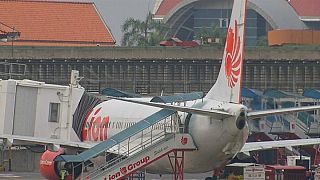 Endonezya'da düşen uçağın hız göstergesinde sorun olduğu belirlendi