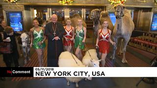 تبرک حیوانات توسط اسقف اعظم نیویورک