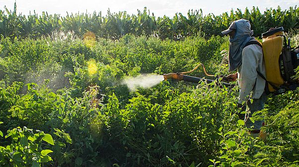 Türkiye kimyasal tarım ilacı satışında Avrupa dördüncüsü Türkiye kimyasal tarım ilacı satışında Avrupa dördüncüsü