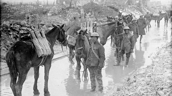 Horses carry munitions for Candian soldiers in France, April 2017. Horses carry munitions for Candian soldiers in France, April 2017.
