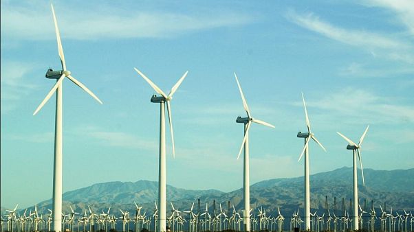 Rüzgar enerjisinin doğal yaşam üzerindeki beklenmedik olumsuz etkileri Rüzgar enerjisinin doğal yaşam üzerindeki beklenmedik olumsuz etkileri