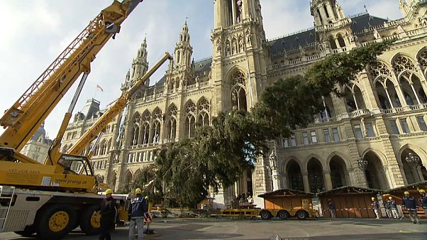 Wien: Zum Christkindlmarkt in kurzen Hosen? Wien: Zum Christkindlmarkt in kurzen Hosen?