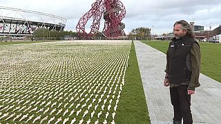 Sudarios para recordar a los británicos caídos en la Primera Guerra Mundial