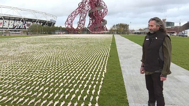 Sudarios para recordar a los británicos caídos en la Primera Guerra Mundial Sudarios para recordar a los británicos caídos en la Primera Guerra Mundial
