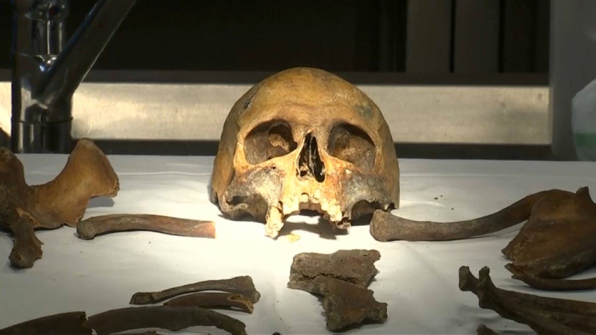 Watch: Forensic scientists search for identity of WWI skeleton