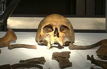 Watch: Forensic scientists search for identity of WWI skeleton