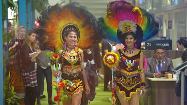 Viagens sustentáveis e éticas: a tendência da indústria do turismo