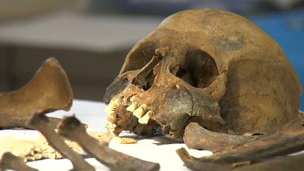 Centenaire de 14-18 : le défi de l'identification des soldats de Verdun Centenaire de 14-18 : le défi de l'identification des soldats de Verdun