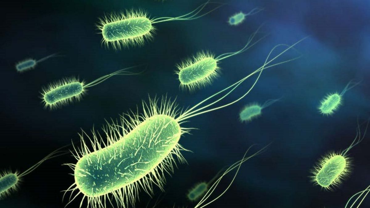 OECD: Hemen adım atılmazsa süper mikroplar milyonları öldürecek