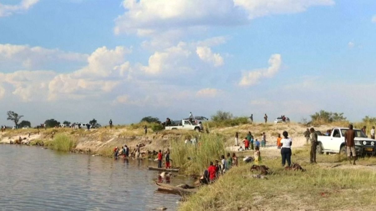 Hundreds of buffaloes drown in Botswana trying to escape lions