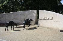 Animals in War Memorial in Park Lane, London