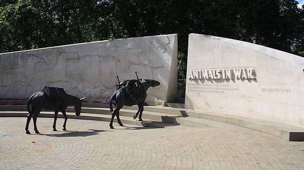 Animals in War Memorial in Park Lane, London Animals in War Memorial in Park Lane, London