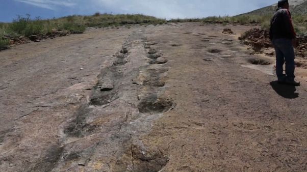 La reserva natural en Bolivia que podría convertirse en el nuevo 'Parque Jurásico' La reserva natural en Bolivia que podría convertirse en el nuevo 'Parque Jurásico'