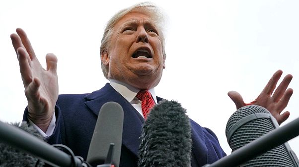 Trump'tan silahlı saldırgan yorumu: Hastalıklı köpek yavrusu Trump'tan silahlı saldırgan yorumu: Hastalıklı köpek yavrusu