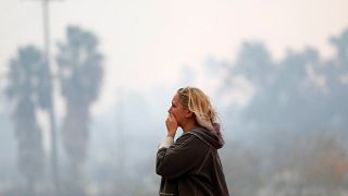 Fotoğraflarla Kaliforniya yangınları