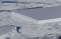 ناسا تكشف سر تشكل الجبل الجليدي المستطيل الذي أثار إعجاب العالم