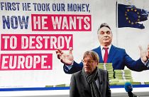 Европейские либерал-демократы объявляют войну экстремистской идеологии