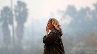 Celebrities flee deadly California wildfires