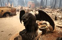 Καλιφόρνια: Αυξάνεται ο αριθμός των νεκρών από τις πυρκαγιές
