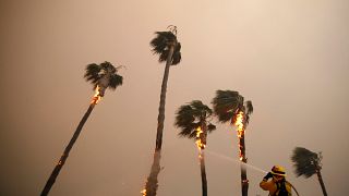 جهود الإنقاذ في حرائق كاليفورنيا مستمرة وارتفاع عدد الضحايا إلى 23 قتيلاً