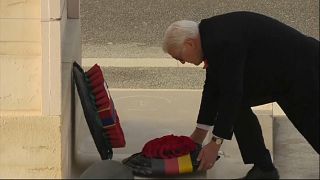 German president lays wreath at British cenotaph on Armistice Day