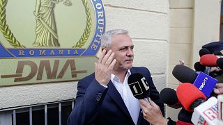 Romania suitcase mystery: journalists 'under political pressure' after Dragnea claims
