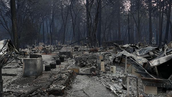 En el infierno de Paradise En el infierno de Paradise