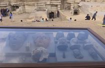 The beetles were found in tombs discovered in the last six months