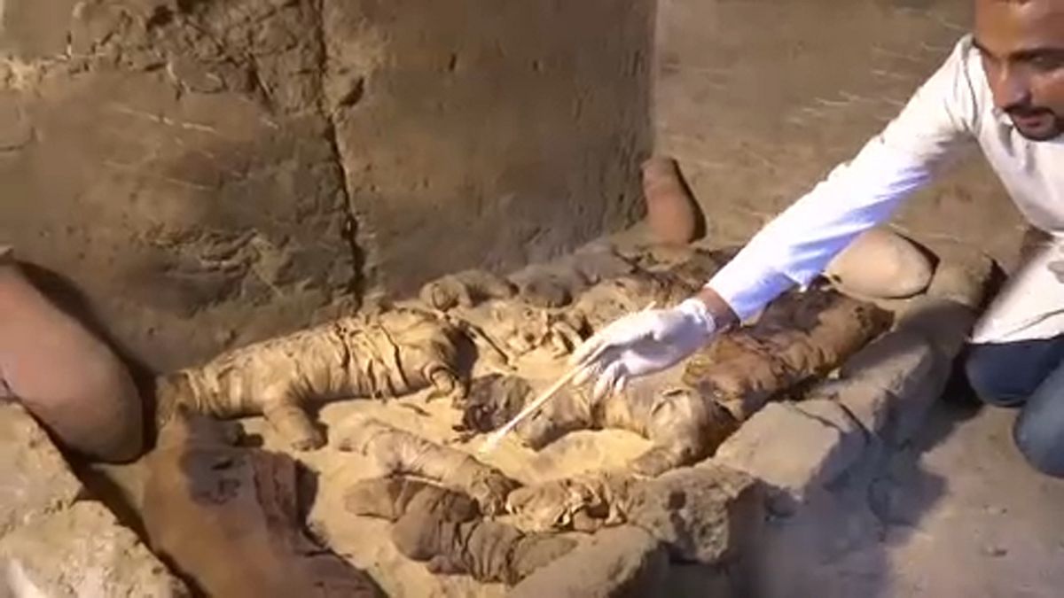 Ritka szkarabeusz-múmiák is előkerültek Egyiptomban