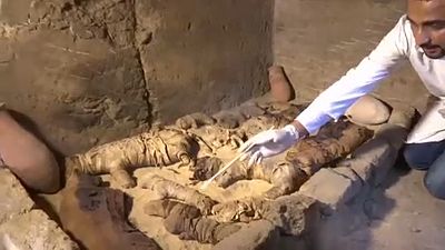 Egitto: scoperti animali mummificati, alcuni risalgono a 6000 anni fa