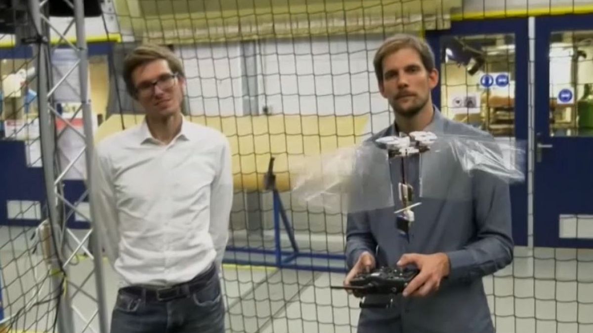 Hollandalı bilim insanlarından uçabilen böcek dronelar