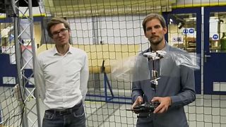 Hollandalı bilim insanlarından uçabilen böcek dronelar