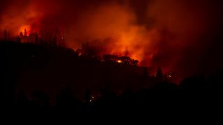 No Comment: gli incendi in California e le nuove tensioni a Gaza