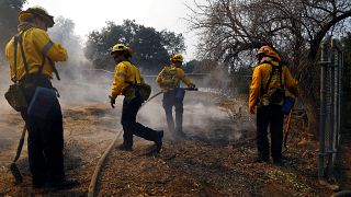 Десятки жертв пожаров в обугленной Калифорнии