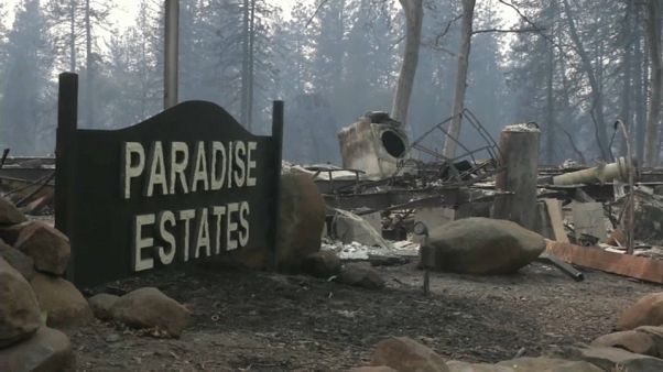 Más de 40 muertos y 200 desaparecidos en California Más de 40 muertos y 200 desaparecidos en California