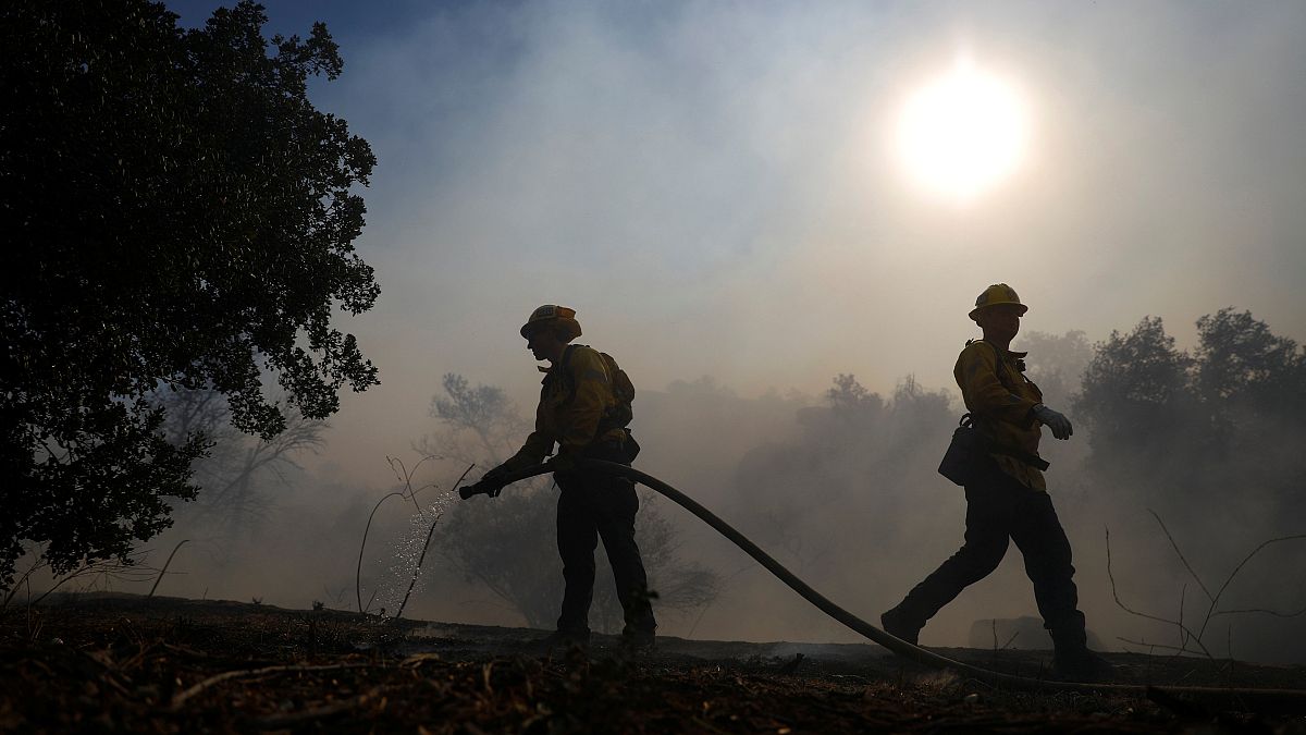 Kaliforniya orman yangınlarında bilanço kabarıyor