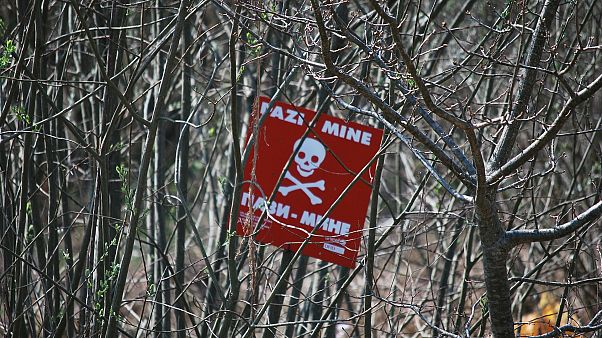 Ναρκοπέδιο του Δεύτερου Παγκόσμιου Πολέμου ανακαλύφθηκε κοντά σε πυρηνικό σταθμό! Ναρκοπέδιο του Δεύτερου Παγκόσμιου Πολέμου ανακαλύφθηκε κοντά σε πυρηνικό σταθμό!