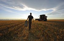 İntihara çiftçiler neden daha fazla eğilimli? | Araştırma