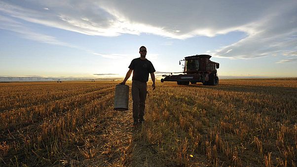 İntihara çiftçiler neden daha fazla eğilimli? | Araştırma İntihara çiftçiler neden daha fazla eğilimli? | Araştırma
