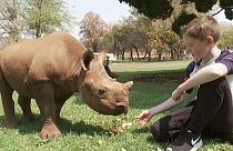 11-летний мальчик спасает носорогов