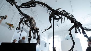 Παρίσι: Σε δημοπρασία σκελετός δεινοσαύρου